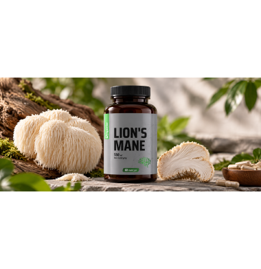 Lion’s Mane (їжовик гребінчастий): для чого приймають та як вибрати